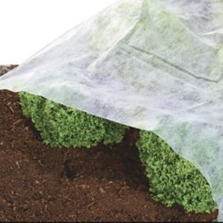 Tuin Zeilen