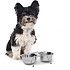 Relaxdays Voederstandaard metaal, drinkbak voederbak, pet feeder, hondenbar 2x0,47L