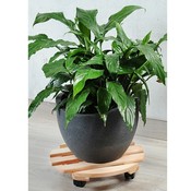 Kesper FSC® Grenen Houten RONDE Plantentrolley | Plantenonderzetter van hout | Planten Trolley Vierkant | Bloempot houder op wielen | Plantroller met 4 zwenkwielen | Afm. 35 x 35 x 8 Cm.