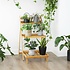 Decopatent Plantenrek van bamboe hout - Plantentrap / bloemenrek voor binnen - Plantenetagere met 3 etages - Staand rek voor planten en bloemen - Decopatent®