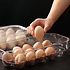 Decopatent Decopatent® Eierdoos Vershouddoos met Deksel voor 16 Eieren - Koelkast Eierhouder - Eierdoos kunsstof - Bewaardoos - Eieropbergbox