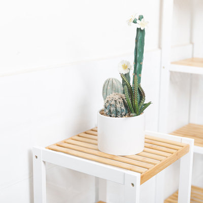 Decopatent Decopatent® Opbergrek van bamboe hout - Badkamerrek - Schoenenrek - Keukenrek - Opbergkast - 4 etages - Keuken rek - 33x33x98 Cm