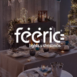 Feeric Lights & Christmas