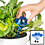 Decopatent Decopatent® 4 Stuks - Waterdruppelaar voor Planten - Watergever - Glas - Waterbollen - Watergeefsysteem - Plantenbollen - Blauw