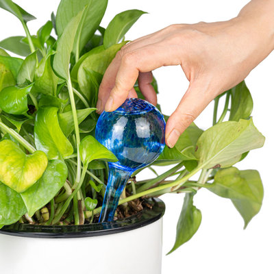 Decopatent Decopatent® 4 Stuks - Waterdruppelaar voor Planten - Watergever - Glas - Waterbollen - Watergeefsysteem - Plantenbollen - Blauw