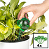 Decopatent Decopatent® 4 Stuks - Waterdruppelaar voor Planten - Watergever - Glas - Waterbollen - Watergeefsysteem - Plantenbollen - Groen