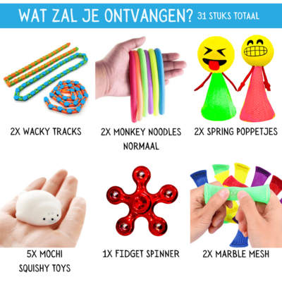 Allerion Allerion® Fidget Toys Pakket - 31 delig