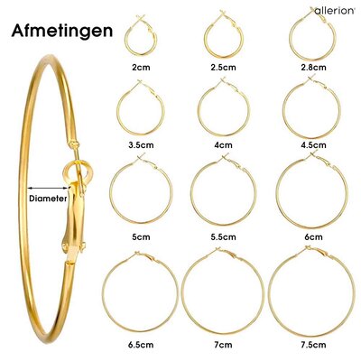 Allerion Allerion - Dames Oorringen Set - 32 Paren - Oorbellen - Goud en Zilver - Inclusief Satijnen Tasje