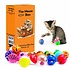 Allerion Allerion Kattenspeelgoed Balletjes Set - Katten Speeltjes Intelligentie - 42-delig - Plastic Balletjes - Verschillende Vormen en Kleuren