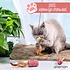 Allerion Allerion Kattenspeelgoed Gift Set - Katten Speeltjes Intelligentie - 12 Verschillende Speeltjes - In Cadeauverpakking