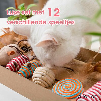 Allerion Allerion Kattenspeelgoed Gift Set - Katten Speeltjes Intelligentie - 12 Verschillende Speeltjes - In Cadeauverpakking