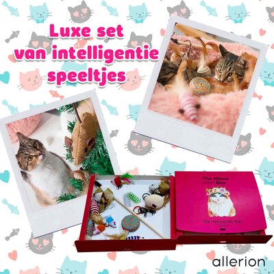 Allerion Allerion Kattenspeelgoed Gift Set - Katten Speeltjes Intelligentie - 12 Verschillende Speeltjes - In Cadeauverpakking