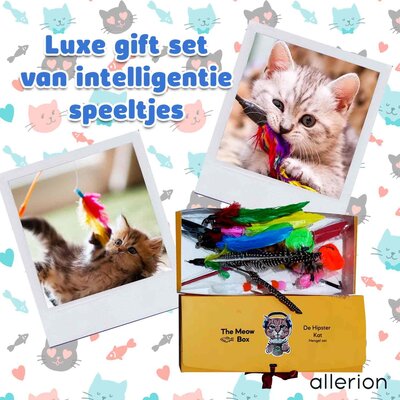 Allerion Allerion Kattenspeelgoed Hengel Set - Katten Speeltjes Intelligentie - 2 Hengels en 12 Veertjes - In Cadeauverpakking