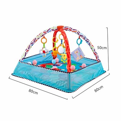 Allerion Allerion Baby Gym Ballenbak - Baby Speelmat - Opvouwbaar - Met 5 Hangers en 18 Ballen - Blauw – 80cm x 80cm