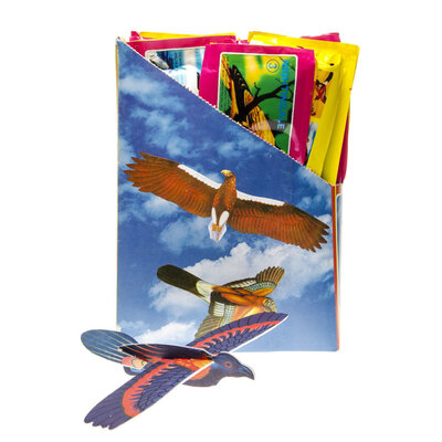 Decopatent 48 STUKS Foam Vogels Vliegtuigen - Fighter Gliders - Uitdeelcadeaus - Traktatie Uitdeelcadeautjes voor kinderen - Grabbelton - School - Kinderfeestje - Klein Speelgoed Trakteren - Grabbelton Traktaties Cadeautjes