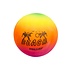 Duckiez Duckiez Beachvolley Bal 23CM Met Net - 10 stuks