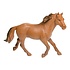 Duckiez Duckiez Paard - 12 stuks