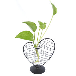 Decopatent - Metalen Hart Vaas met Glazen Buis – Decoratief Silhouet Vaasje voor Bloemen & Stekjes