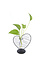 Decopatent - Metalen Hart Vaas met Glazen Buis – Decoratief Silhouet Vaasje voor Bloemen & Stekjes