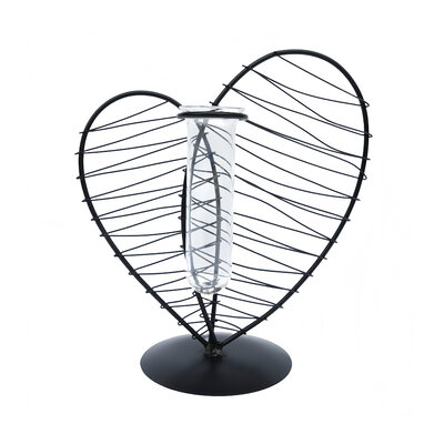 Decopatent - Metalen Hart Vaas met Glazen Buis – Decoratief Silhouet Vaasje voor Bloemen & Stekjes