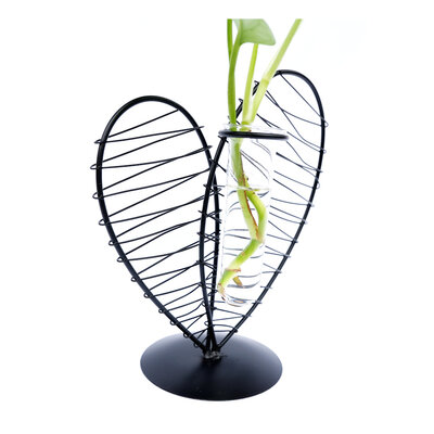 Decopatent - Metalen Hart Vaas met Glazen Buis – Decoratief Silhouet Vaasje voor Bloemen & Stekjes