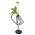 Decopatent - Metalen Staande Decoratie Bloemenlamp - glazen lamp vaas - vaasje glas - Om bloemetjes, stekjes, droogbloemen of luchtplantjes in te zetten