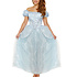 Henbrandt Henbrandt - VOLWASSENEN DAMES ASSEPOESTER JURK - Prinses kostuum - Feest Jurk - Carnavalskleding - Verkleedkleding - Vrijgezellenfeest - VROUW - Maat: ONE SIZE FITTS ALL