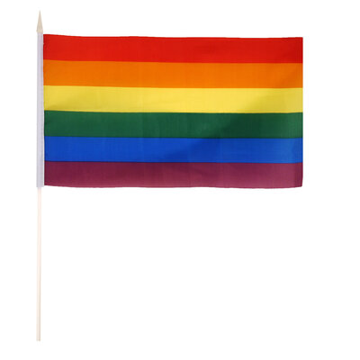 Henbrandt Henbrandt - 50 STUKS Regenboog Gay Pride LGBTQ+ Handvlaggen (29 Cm x 17 Cm) met Houten stok van 40 Cm - Hand Vlag - Vlaggetjes met Handvat - Materiaal: Nylon & Hout