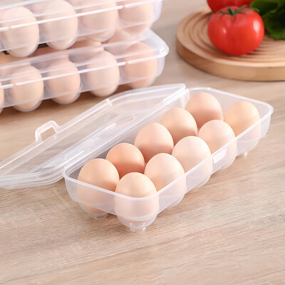Decopatent Eierdoos kunststof voor 10 Eieren - Voor in Koelkast - Eieropbergbox met Deksel voor Tien Eieren - Koelkast Eierhouder Organizer - Eierhouder kunsstof - Bewaardoos - Afm: 26.5 x 12.5 x 8 Cm.