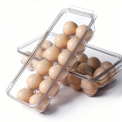 Decopatent Eierdoos kunststof voor 12 Eieren - Voor in Koelkast - Eieropbergbox met Deksel voor Twaalf Eieren - Koelkast Eierhouder Organizer - Eierhouder kunsstof - Bewaardoos - Afm: 33 x 12 x 8 Cm.