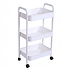Decopatent - Smal Keukenrek opbergrek 3 laags op Wieltjes met Vakken - Smalle kast - Keukentrolley met wielen - Badkamer - Nisrek - Afm: 42 x  27.5 x 78 Cm