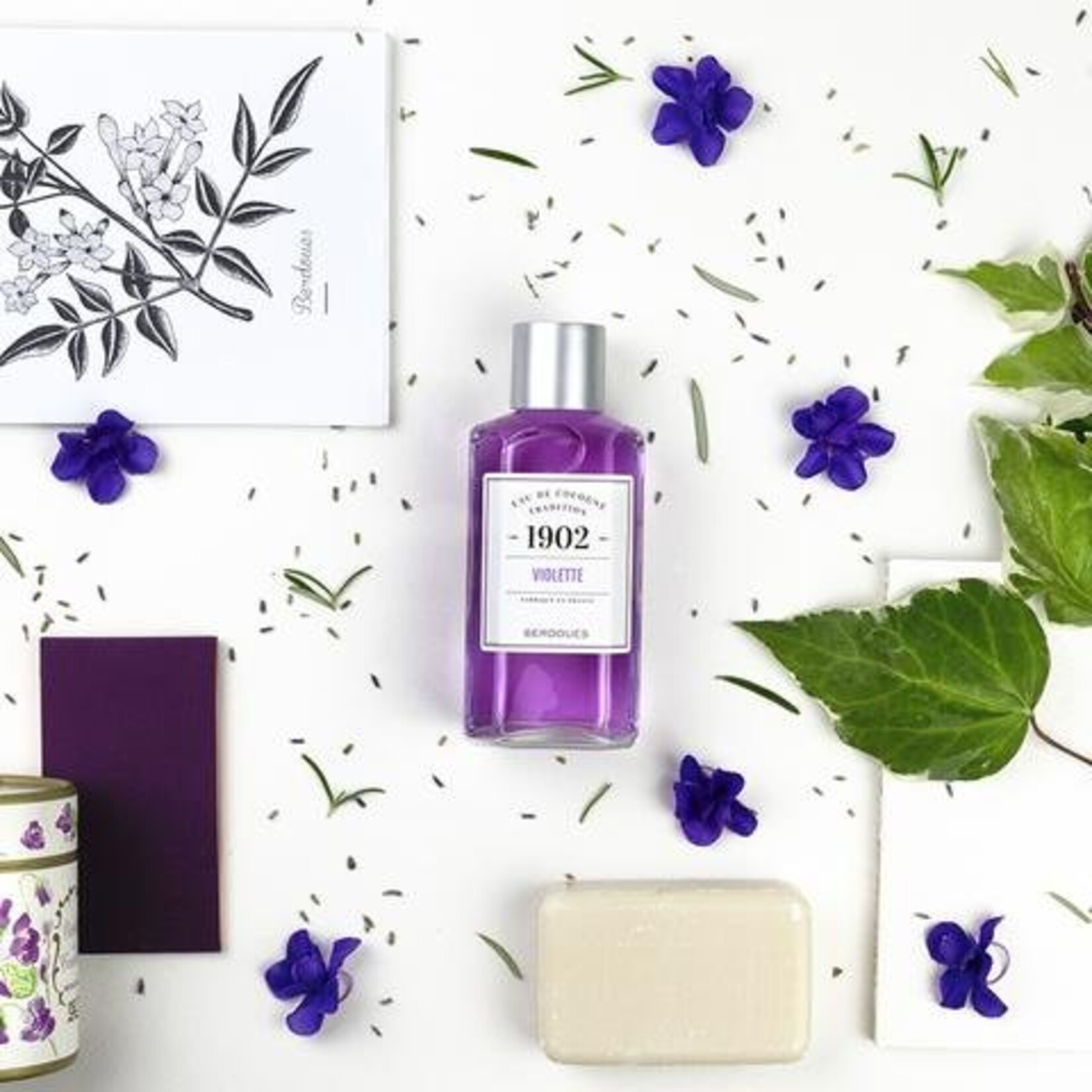 Berdoues Violette - 1902 Tradition - Berdoues - Eau De Cologne