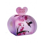The English Soap Company Forest Orchid