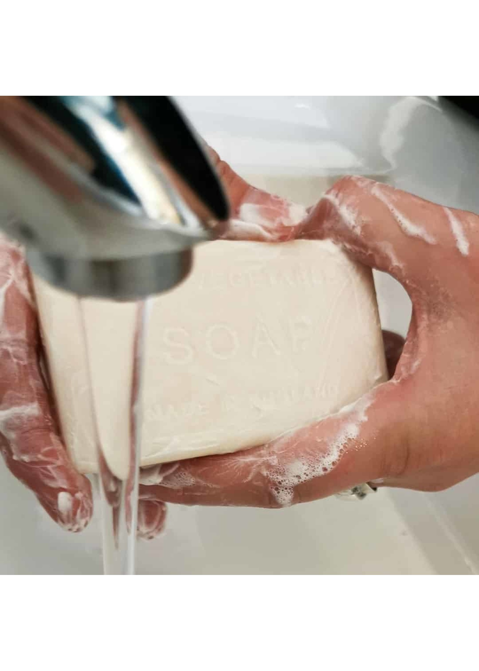 The English Soap Company Soap Dinosaur