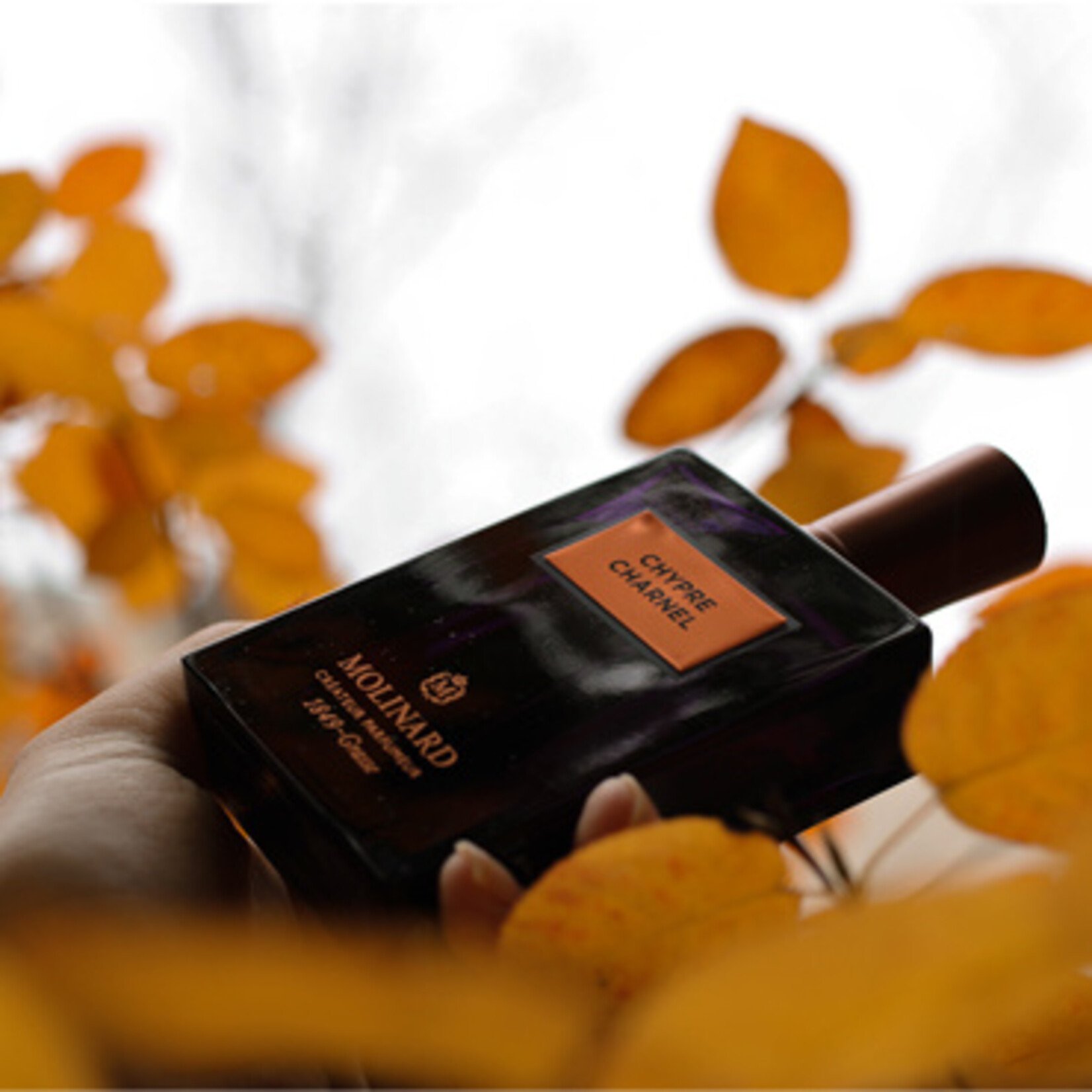 Molinard Chypre Charnel  - Molinard - Eau De Parfum Femme