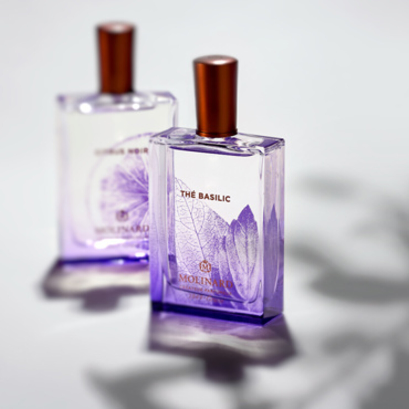 Molinard Thé Basilic  - La Fraîcheur - Molinard