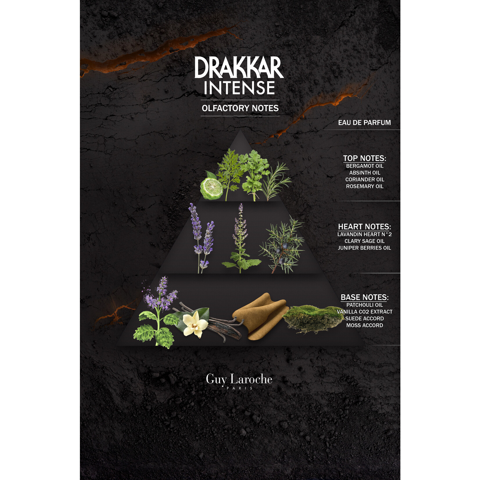 Guy Laroche Drakkar  Intense