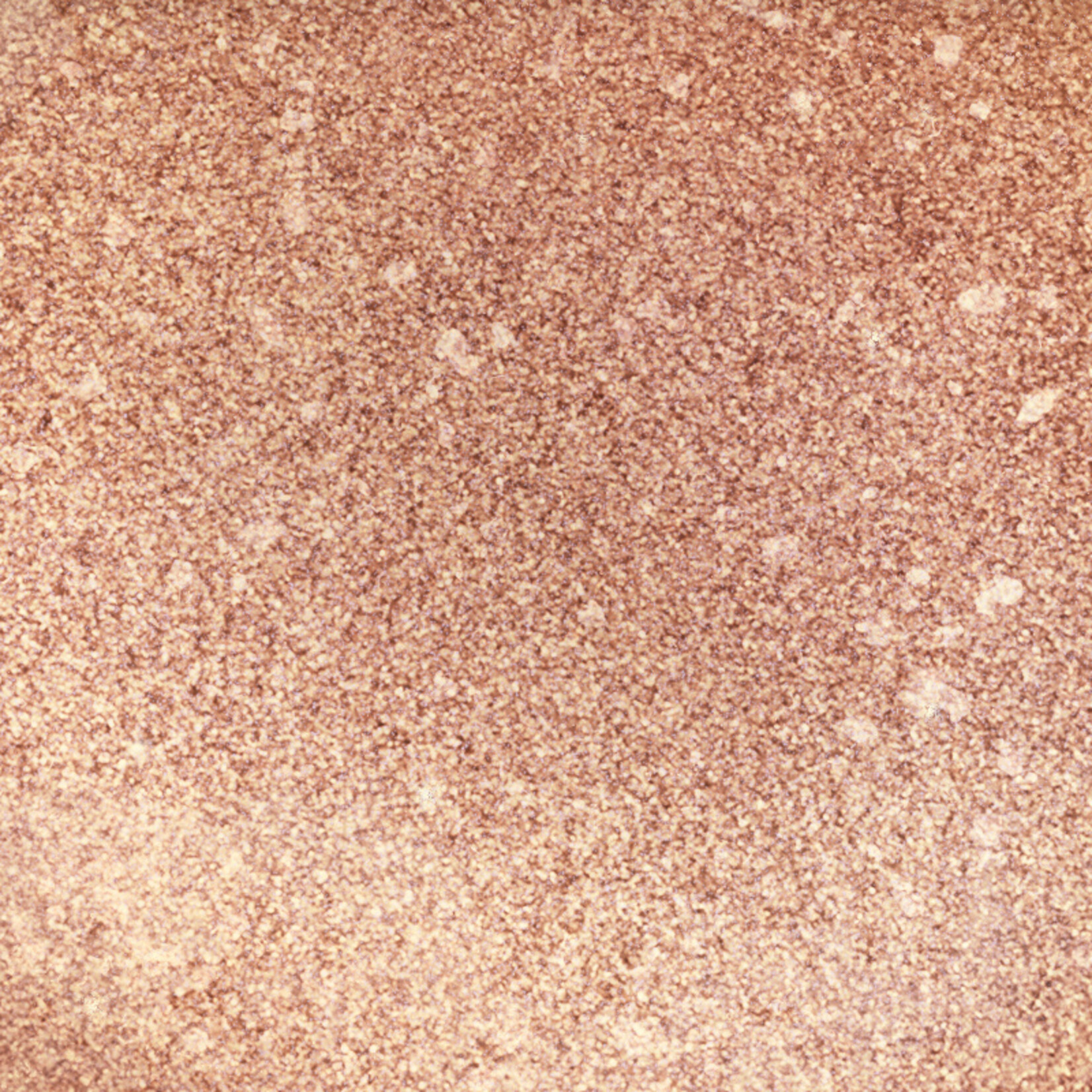 Isadora SINGLE POWER EYESHADOW -  Peachy Diamonds 18