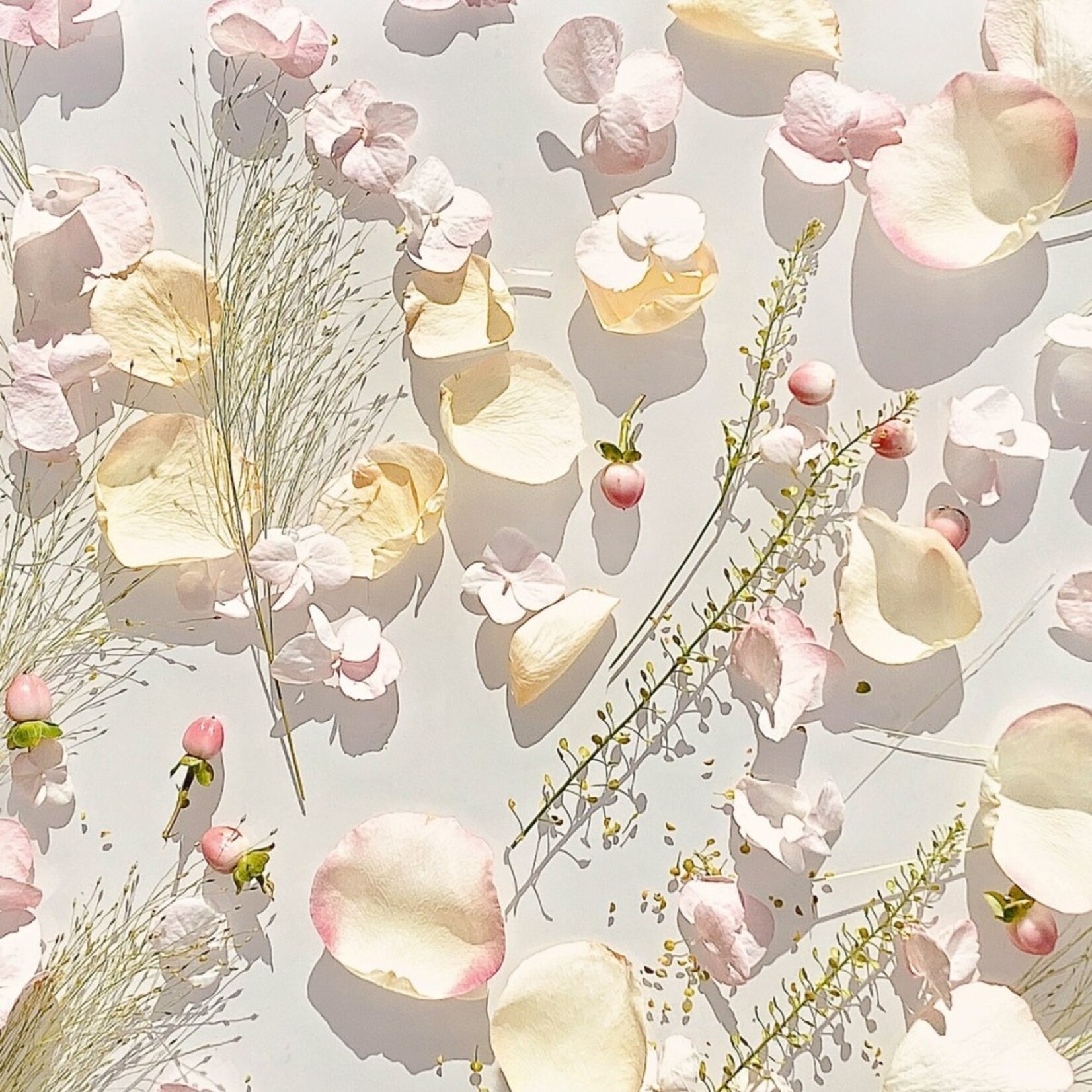 Maison Micallef Royal Muska Nectar - Jewel Collection