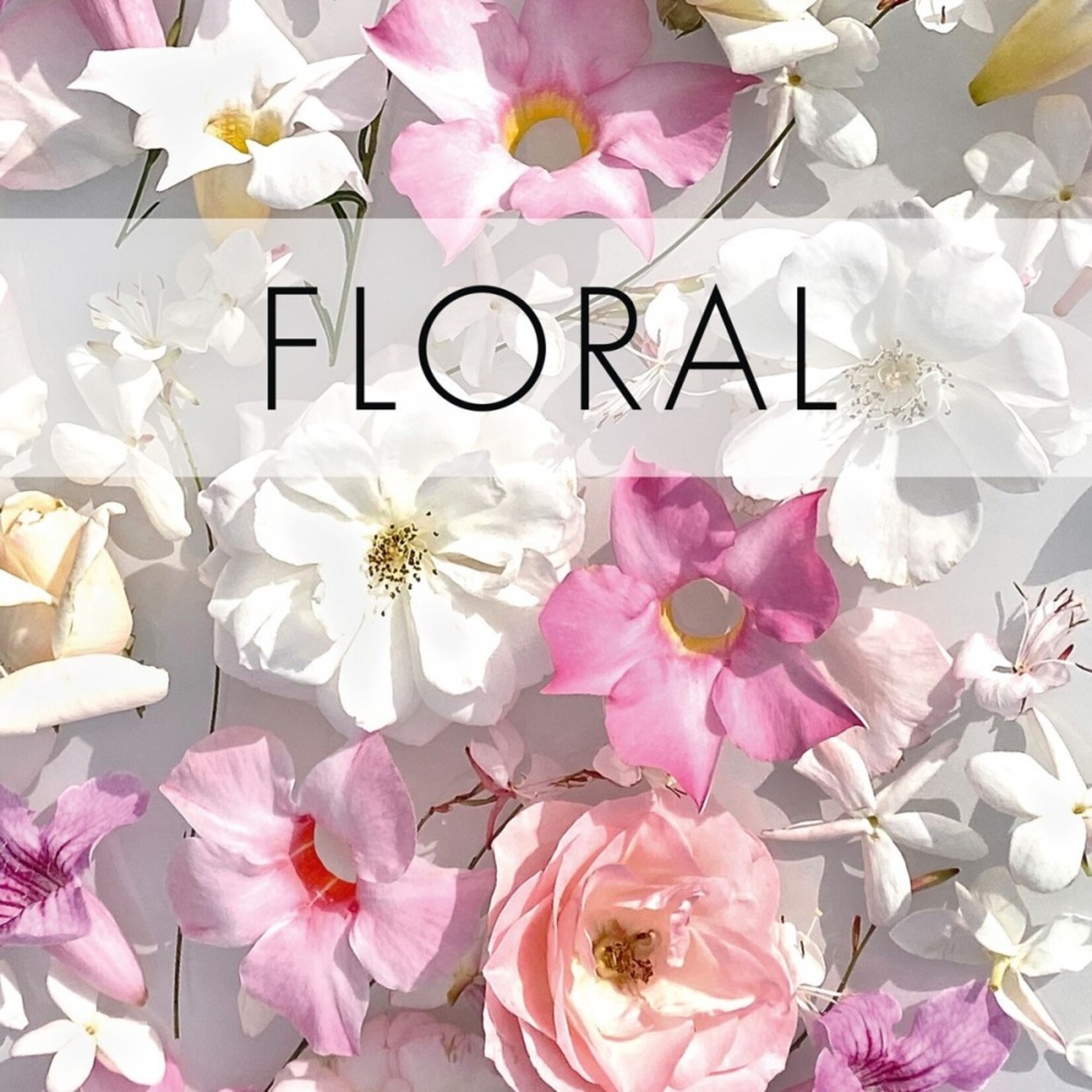 Maison Micallef Ylang in Gold - Jewel Collection