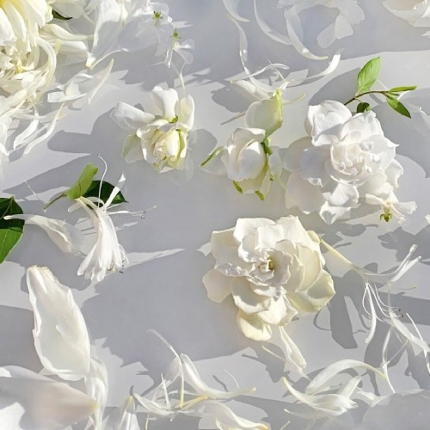 Maison Micallef Pure Extême Nectar - Jewel Collection