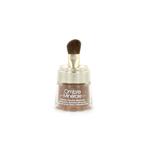 L'Oréal Color Minerals Oogschaduw - 13 Bronze Gold