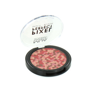 Pixel Perfect Multi Blush - Coral Spice