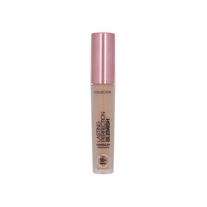 Lasting Perfection Blemish Vloeibare Concealer - 11 Maple