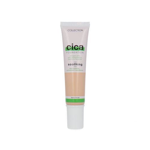 Collection Cica Soothing Foundation - 6 Cashew