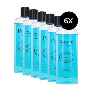 Body Wash Mint Extract - 6 x 250 ml