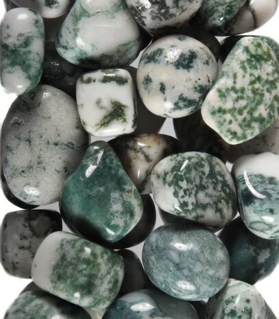 Agaat (boom) steen getrommeld 5 - 10 gram