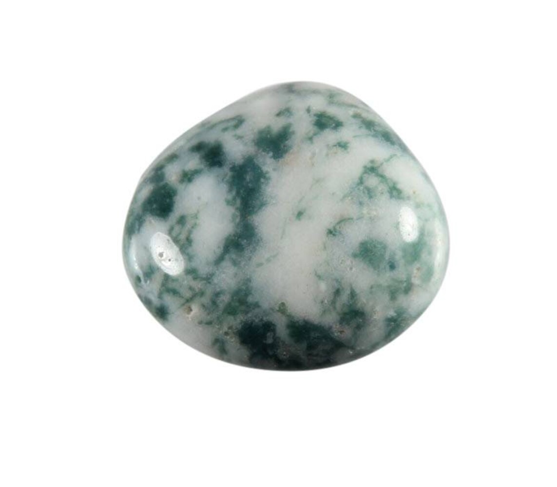 Agaat (boom) steen getrommeld 5 - 10 gram