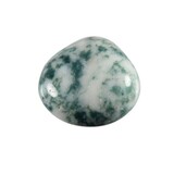 Agaat (boom) steen getrommeld 5 - 10 gram Agaat (boom) steen getrommeld 5 - 10 gram