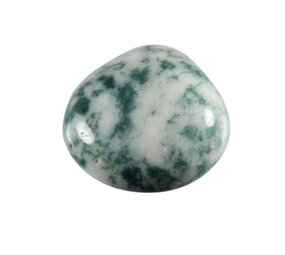 Agaat (boom) steen getrommeld 5 - 10 gram